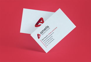 Ametis技术开发公司企业品牌形象设计与策划方案